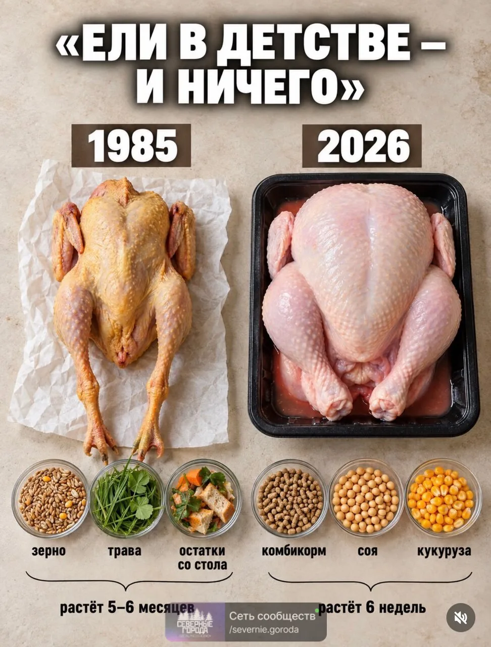 «Ели в детстве — и ничего»