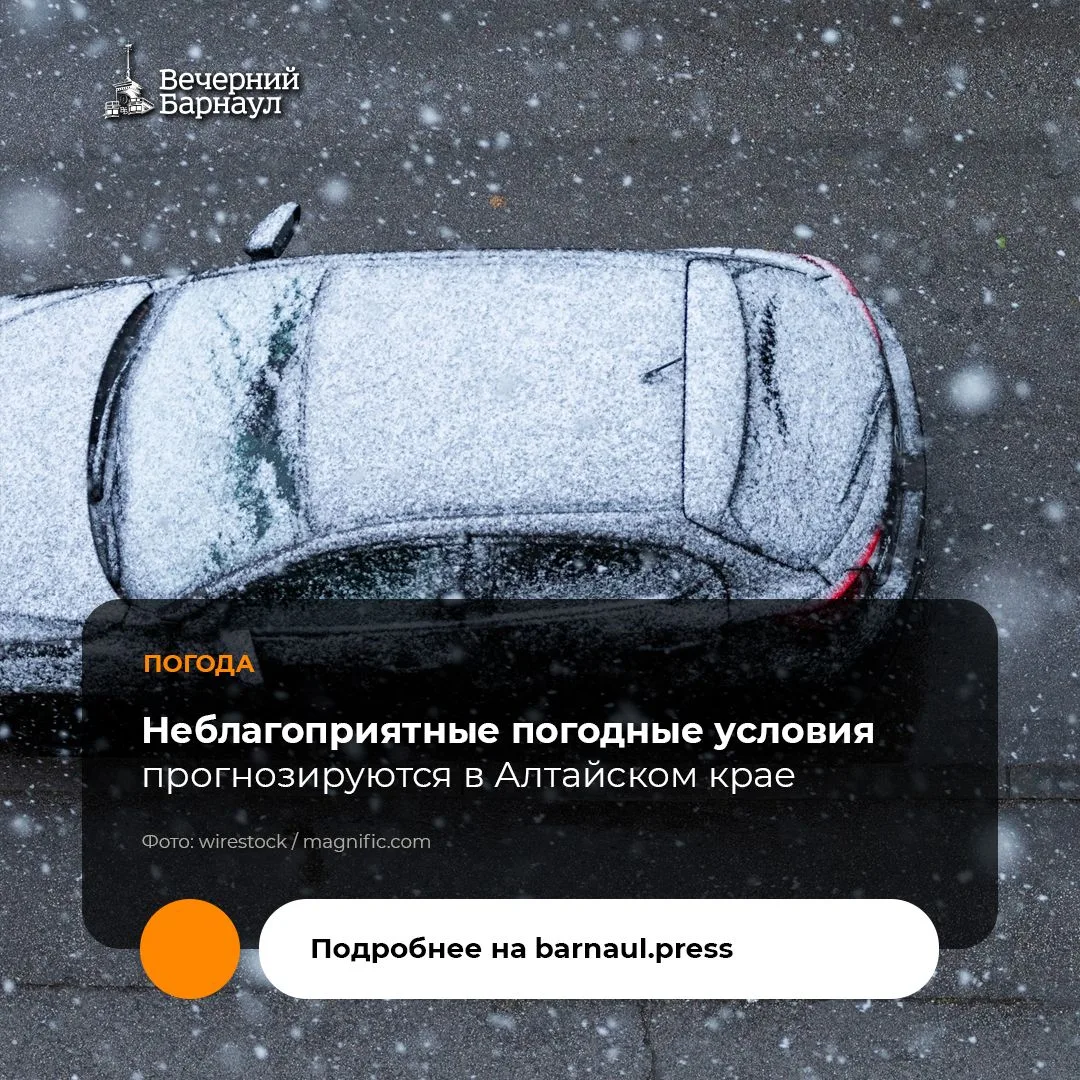 🌬️ 6 и 7 октября 2026 года на территории Алтайского края ожидается непогода.