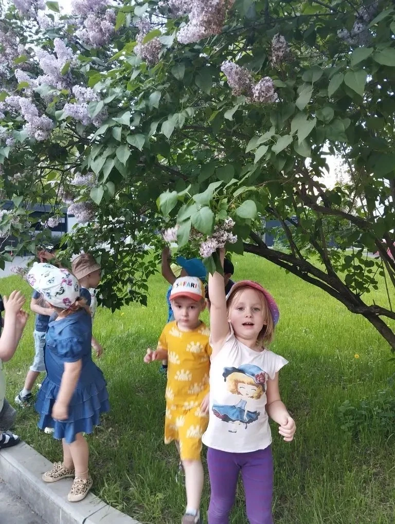 🌸 День сирени в 9 группе Корпуса 4  18 мая — День сирени! В воздухе витает настоящий аромат весны и 