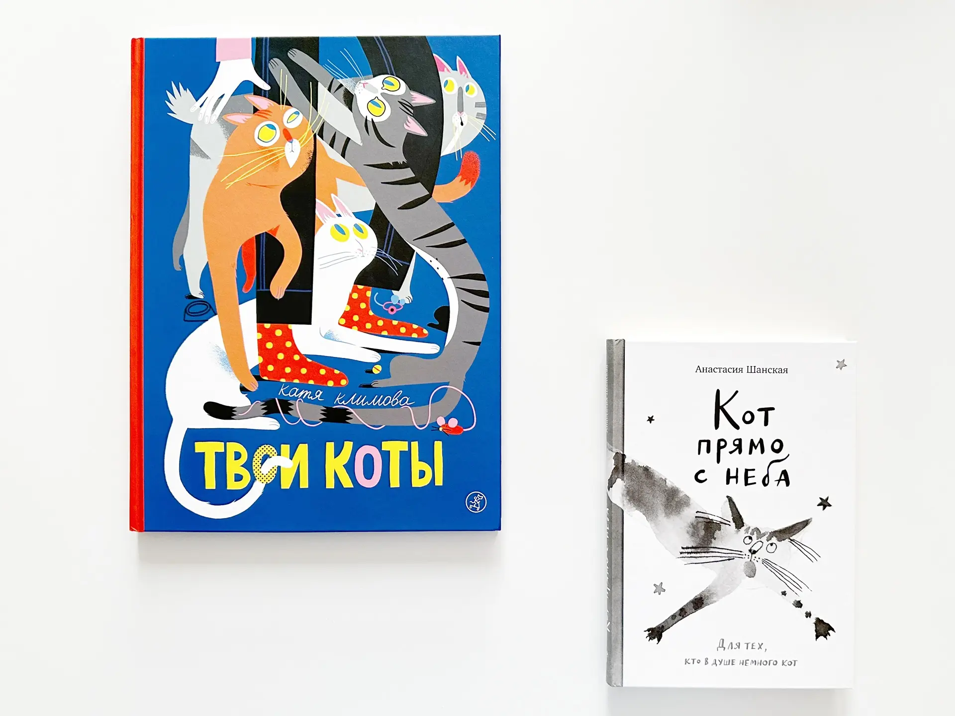 Книги, которые точно оценят любители котиков🐈