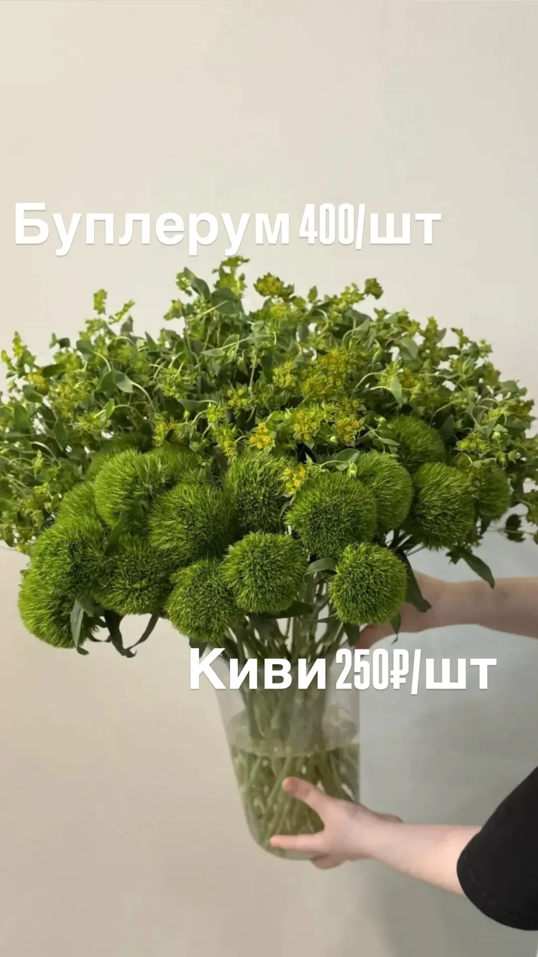 Свежая поставка🌸🌸