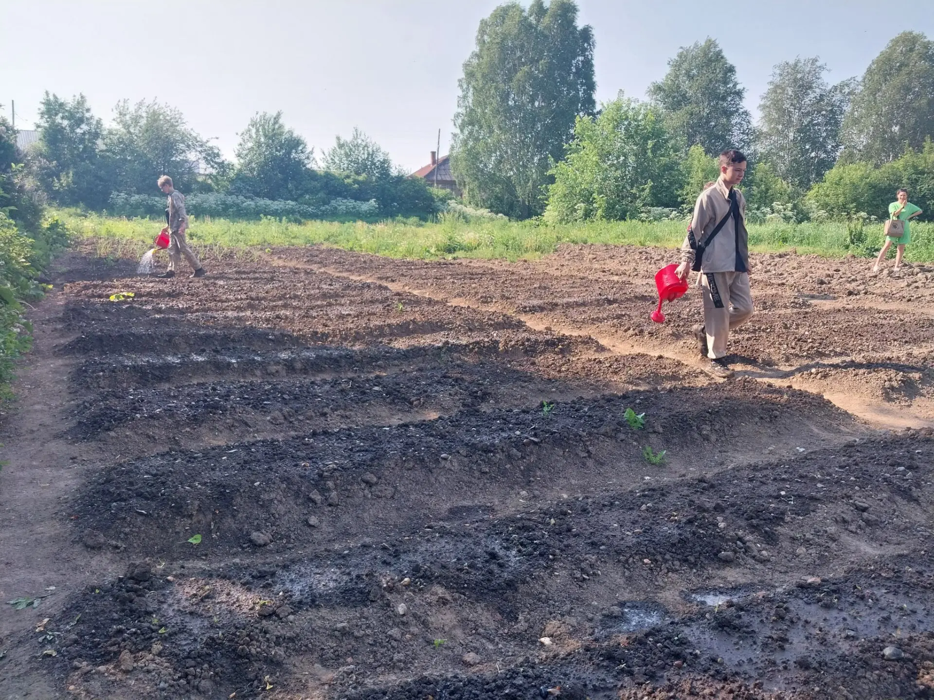 Лето в деревне – время работы в огороде.🌻

Наши школьники с интересом осваивают профессии агронома,