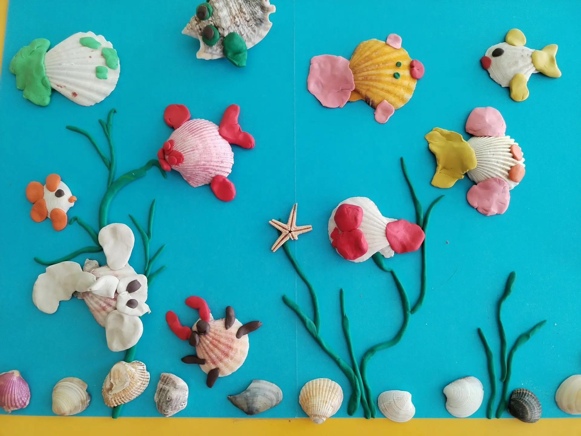 День ракушки 🦪 🐚 🐚