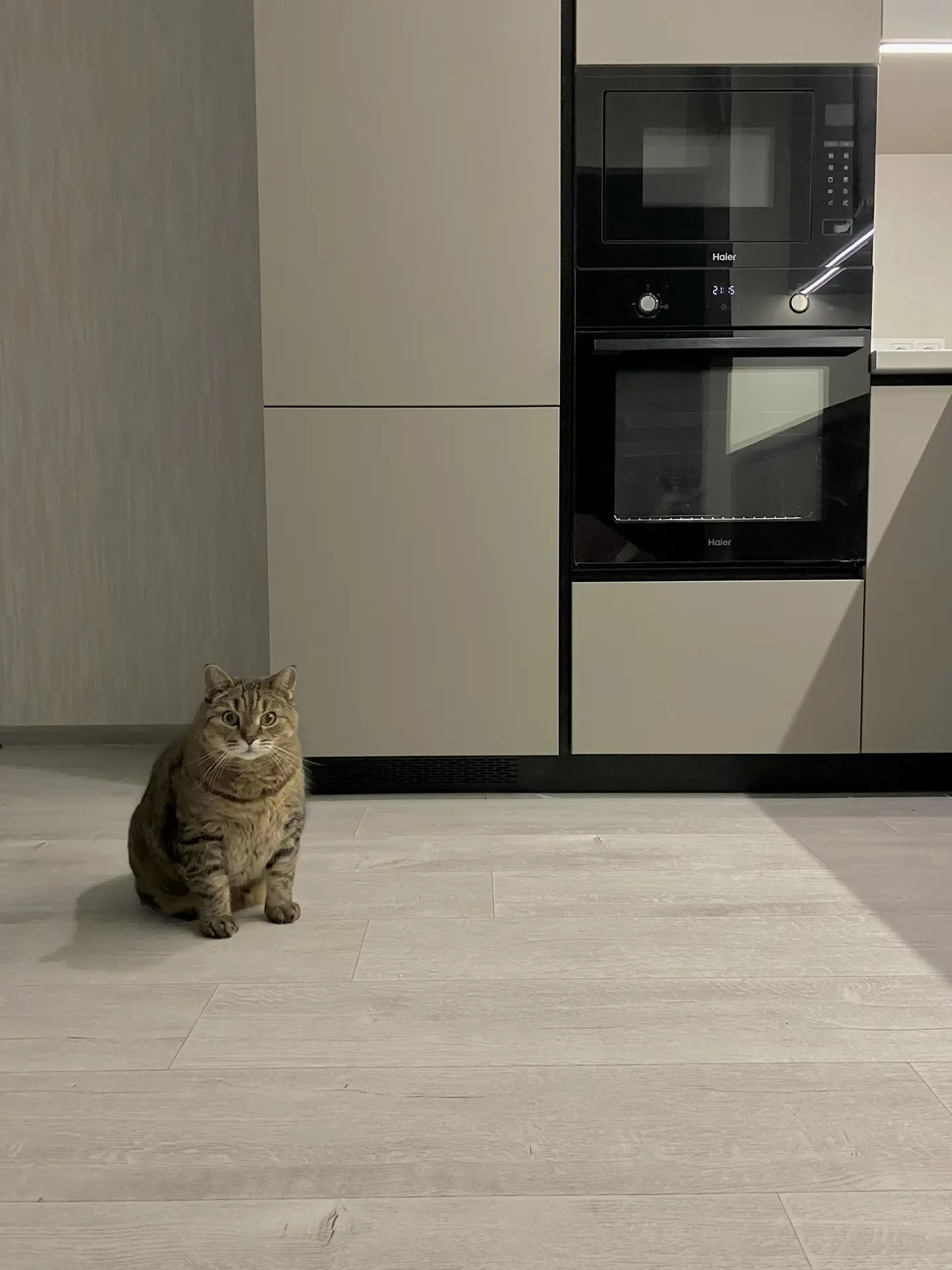 Вашей кухней будут довольны даже котики! 🐈‍⬛