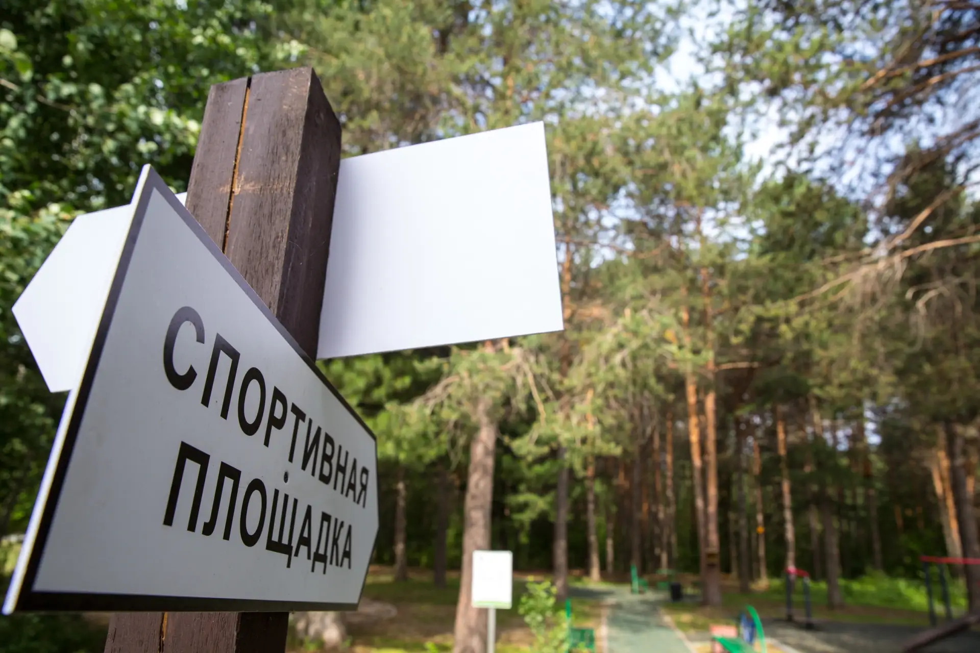 Этим летом в Сургуте отремонтируют детские и спортивные площадки в шести парках и скверах  Ремонт пл