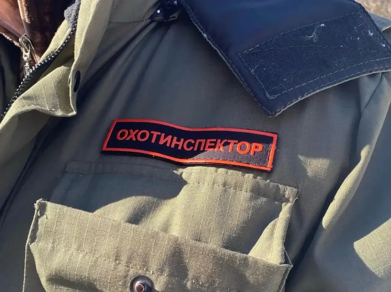 ❗️В охотугодьях Оренбуржья с начала года выявили 254 нарушения  #Про_Общество   В Оренбургской облас