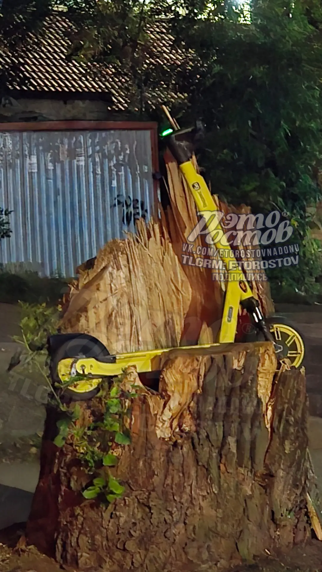🛴 Трон для самоката в Ростове 😁