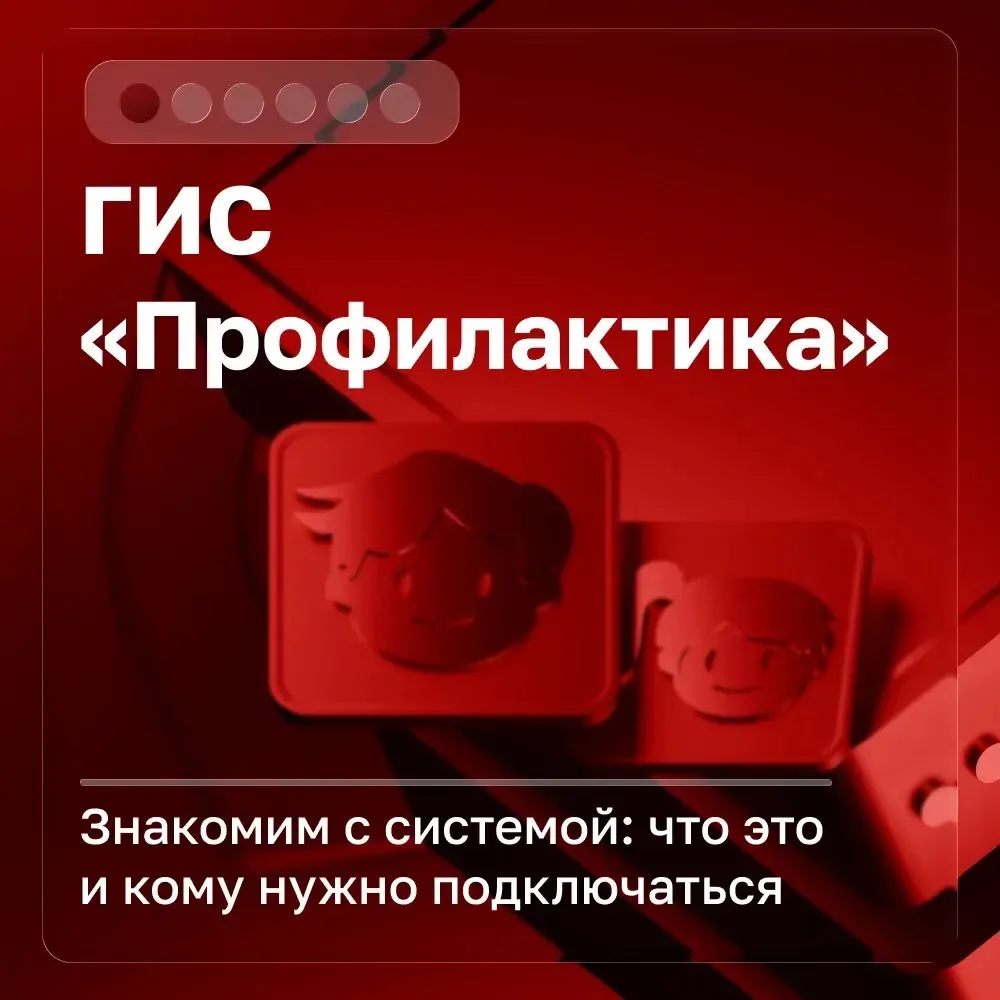 ГИС «Профилактика» — рассказываем о главном. Часть 1