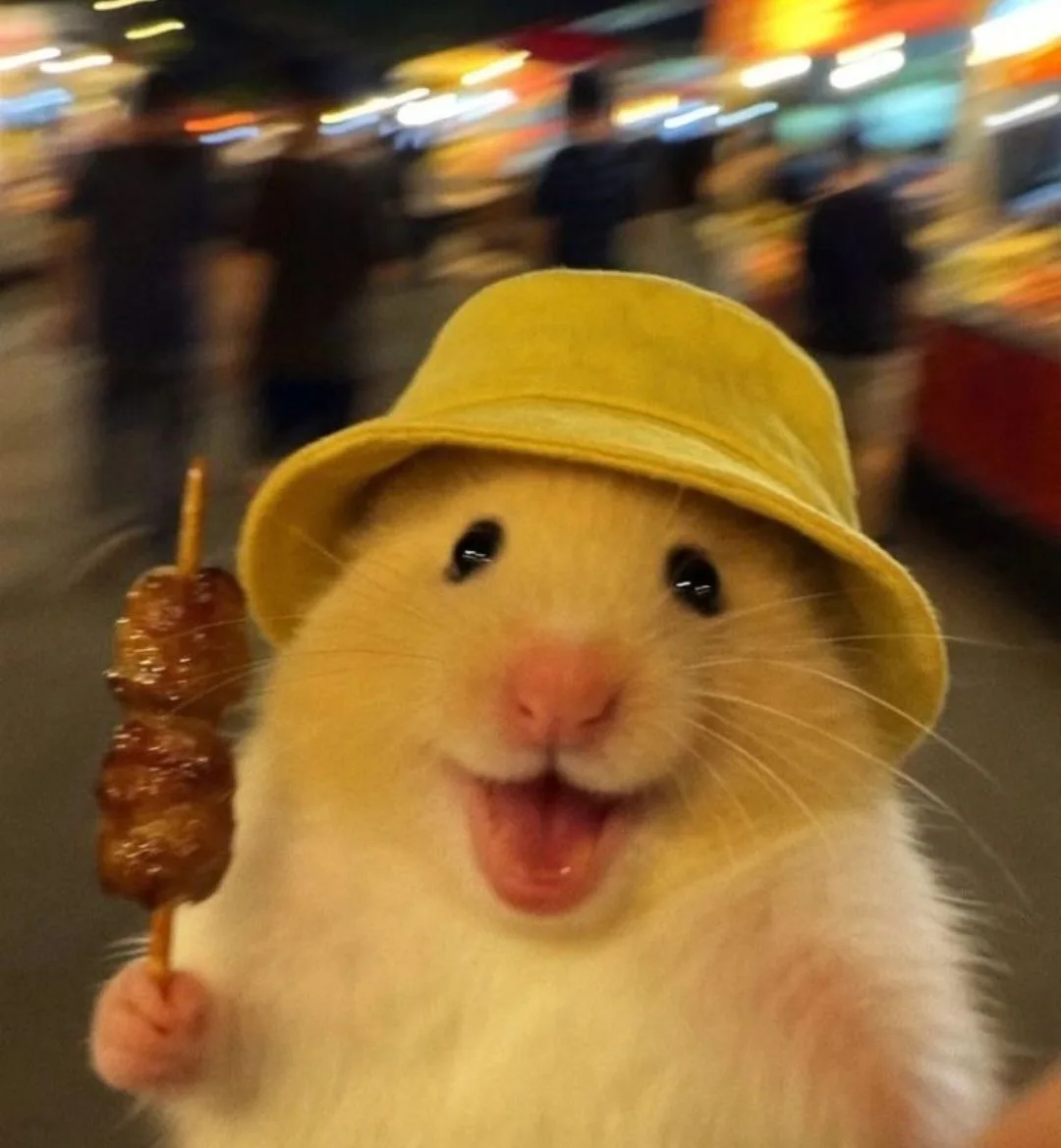 Аватарки с хомяками🐹