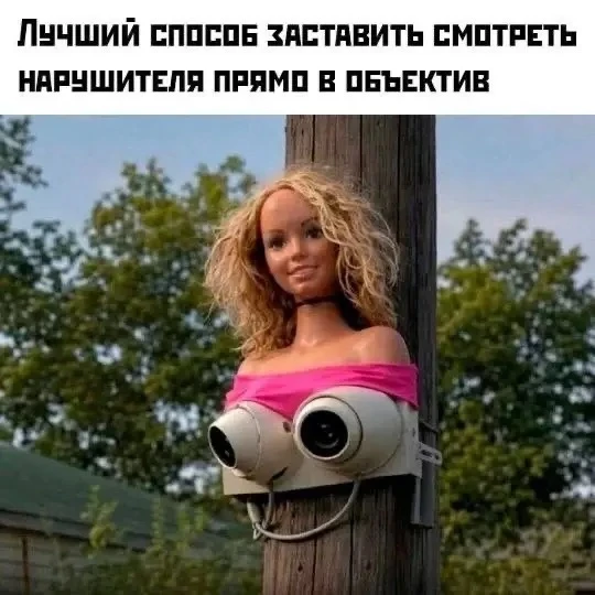 БОЛЬШЕ ВИДЕО и ФОТО В КАНАЛЕ: https://max.ru/channel_Smeh26