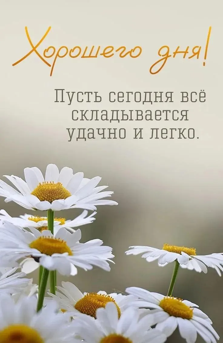 Доброе утро, друзья ☀️