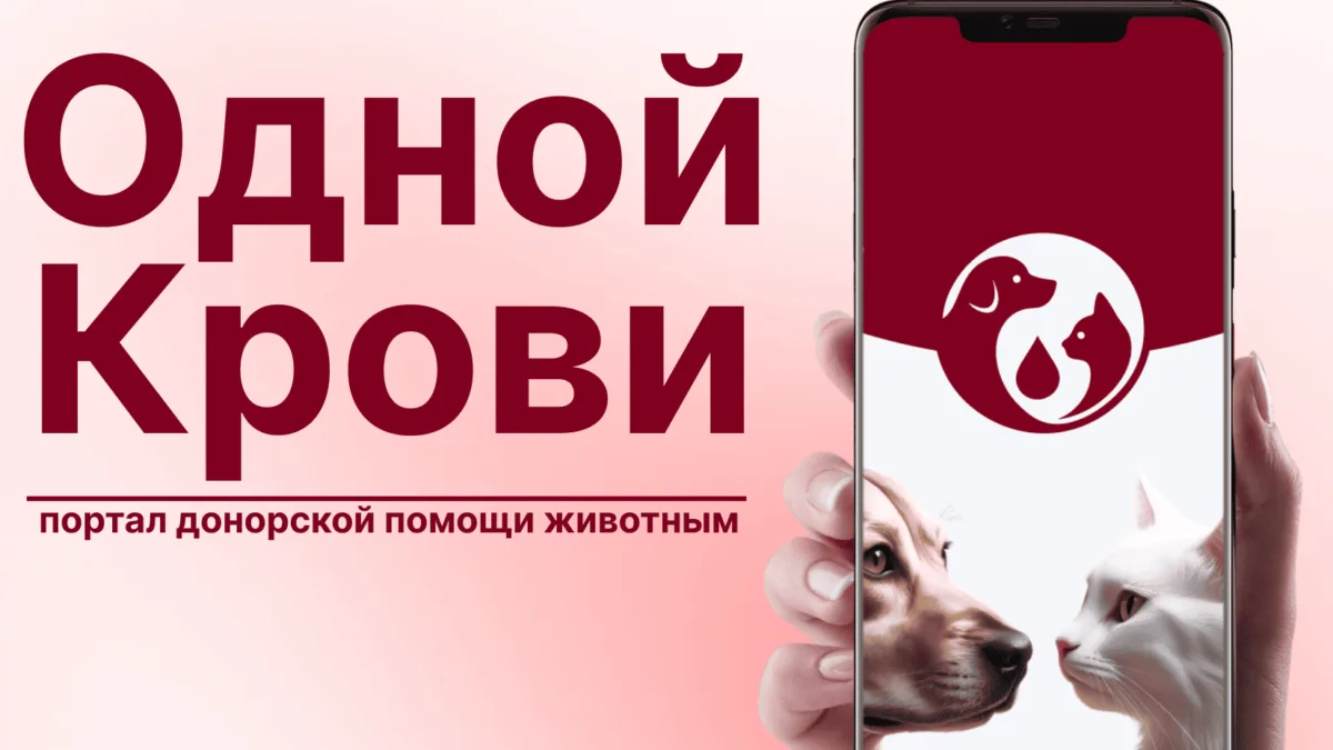 🐾Автономная некоммерческая организация "Единый портал повышения доступности ветеринарн...