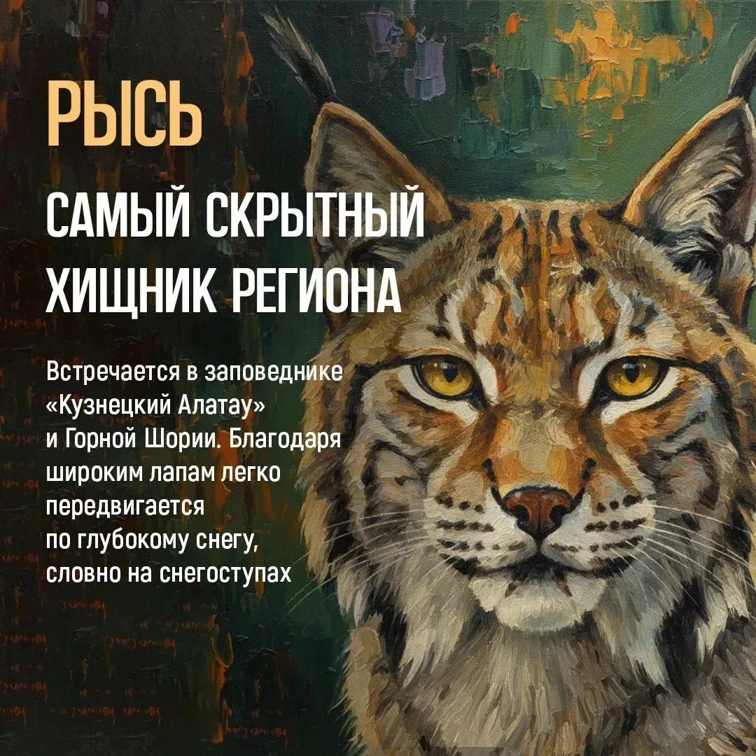 🌲 Кузбасская тайга хранит немало секретов