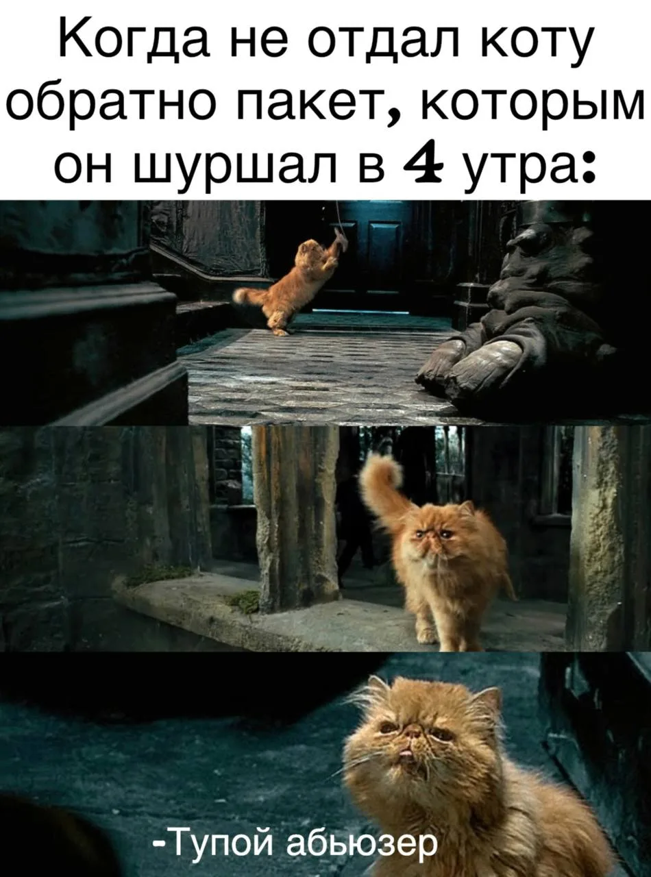Фан-клуб Хогвартс Гарри Поттер