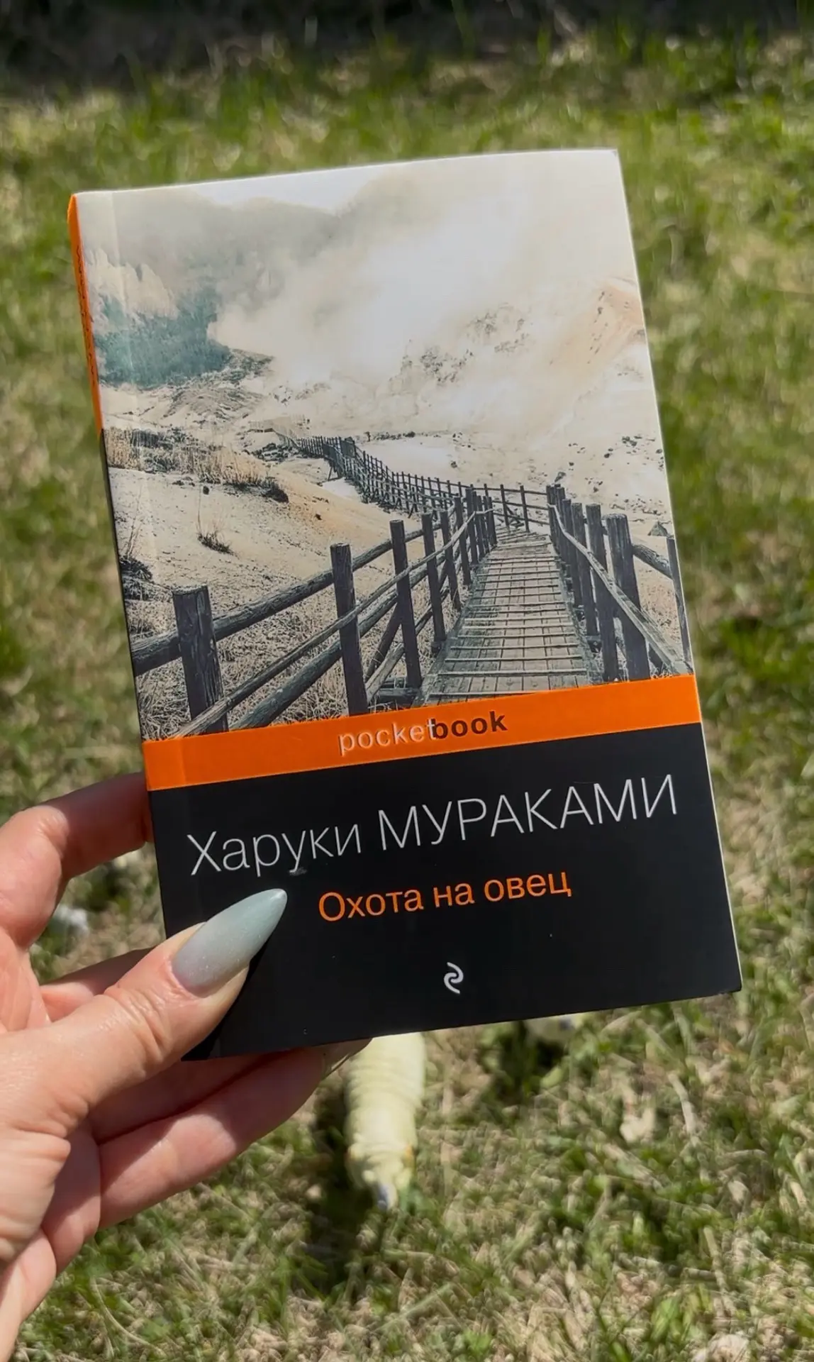 Про книги: kuzibooks для bratskbook

Харуки Мураками. Охота на овец. 416 стр.

Очень странная книга.