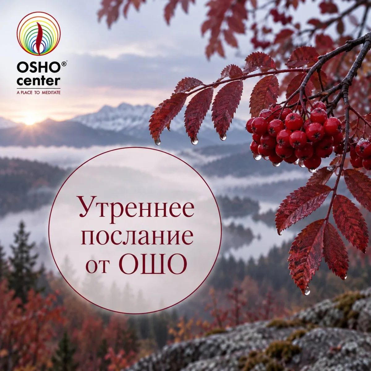 #послание_от_ошо