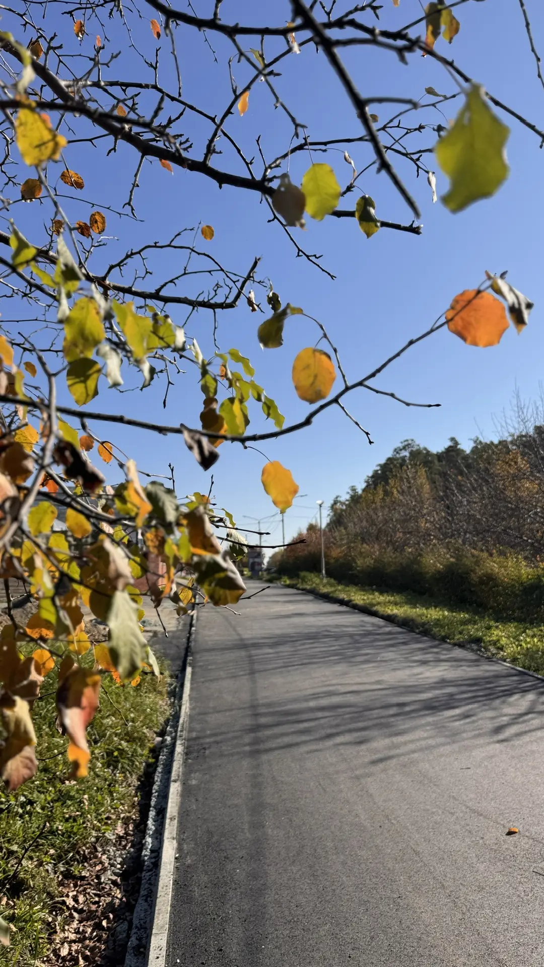 Улица академика Забабахина 😍