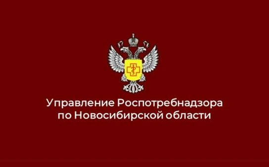 Изменения в Правила предоставления гостиничных услуг и услуг иных средств размещения