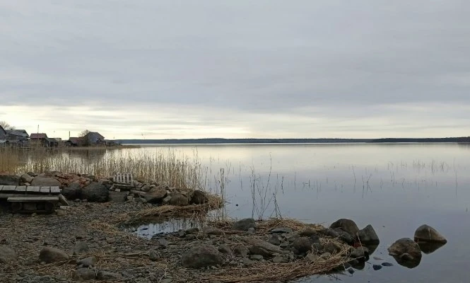 В Карелии резко упал уровень воды в Онежском озере.