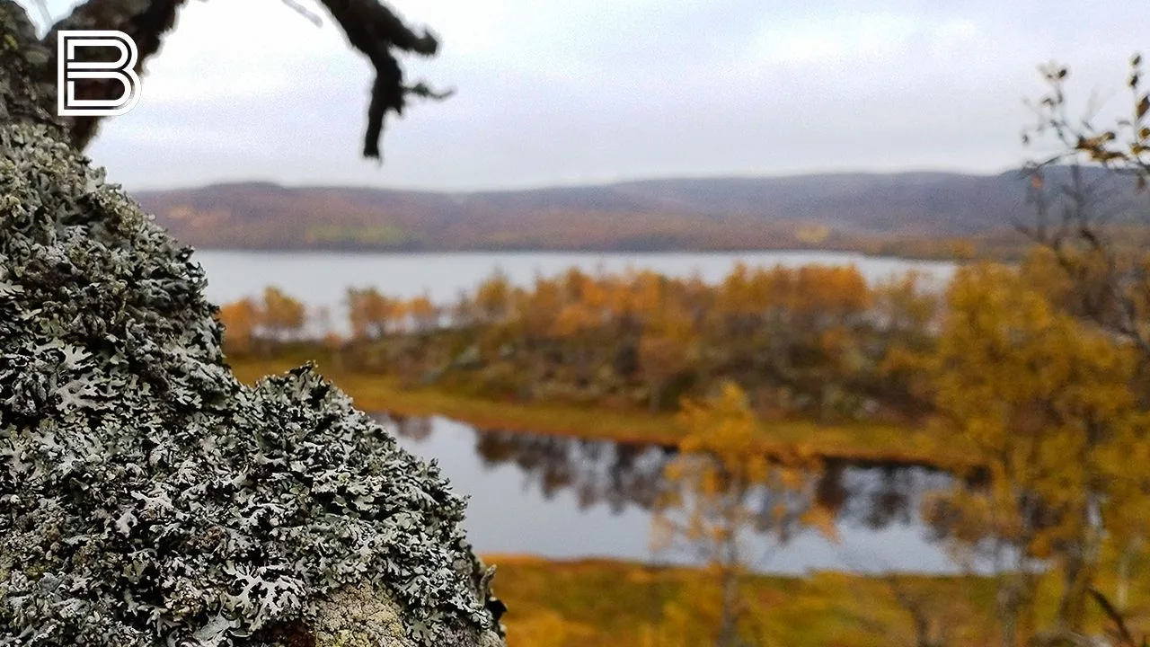 ⛅ В Кольском Заполярье 14 сентября будет облачно с прояснениями, сообщили в мурманском ...