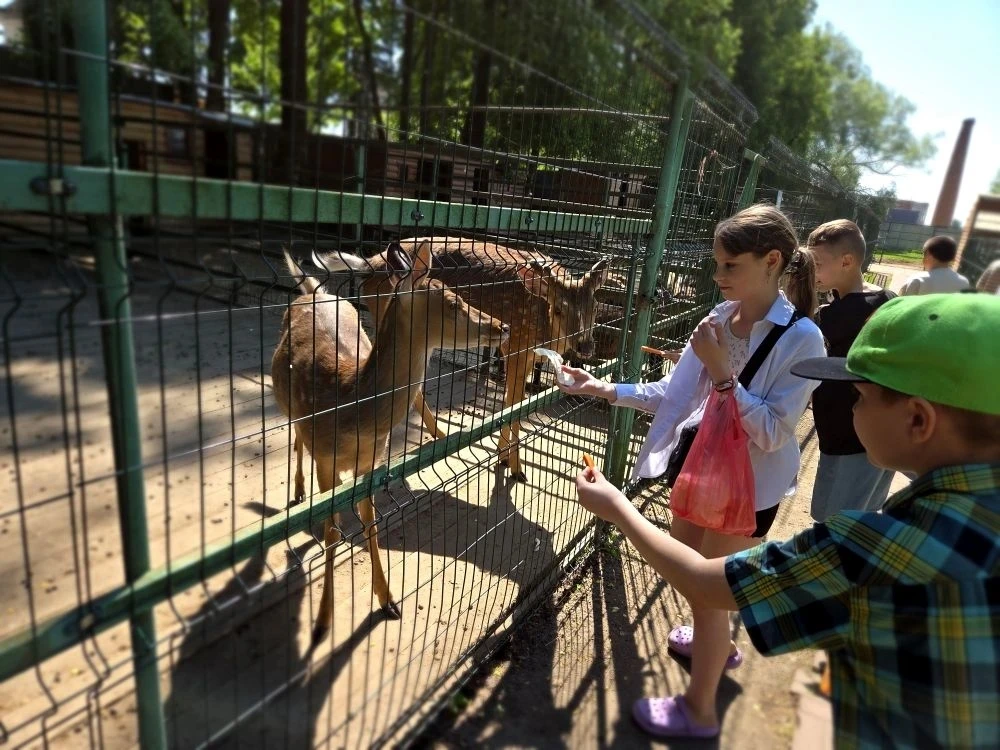 ➡ ОБРАЗОВАТЕЛЬНАЯ ЭКСКУРСИЯ   🚌 Ученики 3 "А", 3 "Б", 3 "В", 4 "Б" классов второго корпуса нашей шко