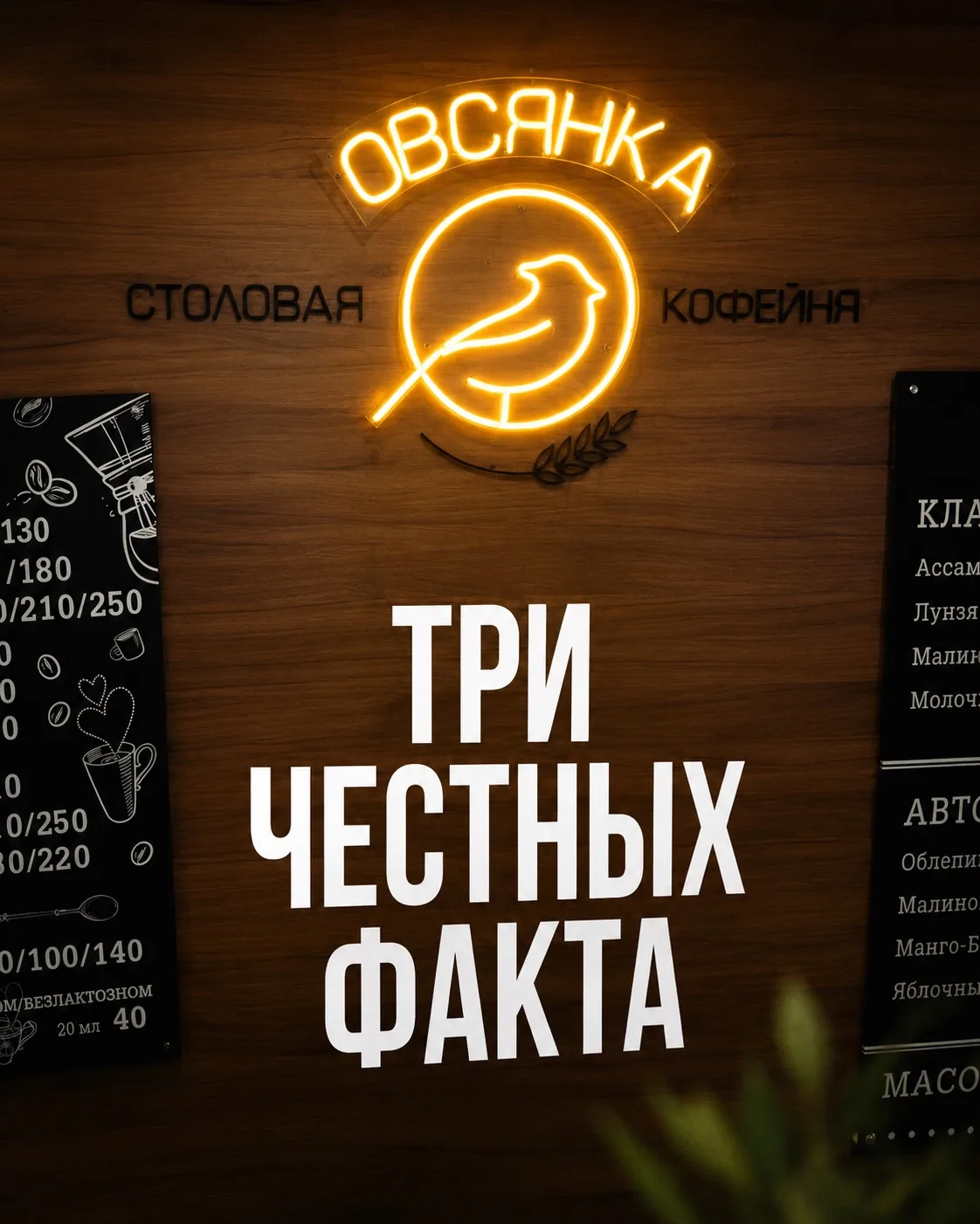 Честный пост от ОВСЯНКИ (спойлер: без прикрас) 😄