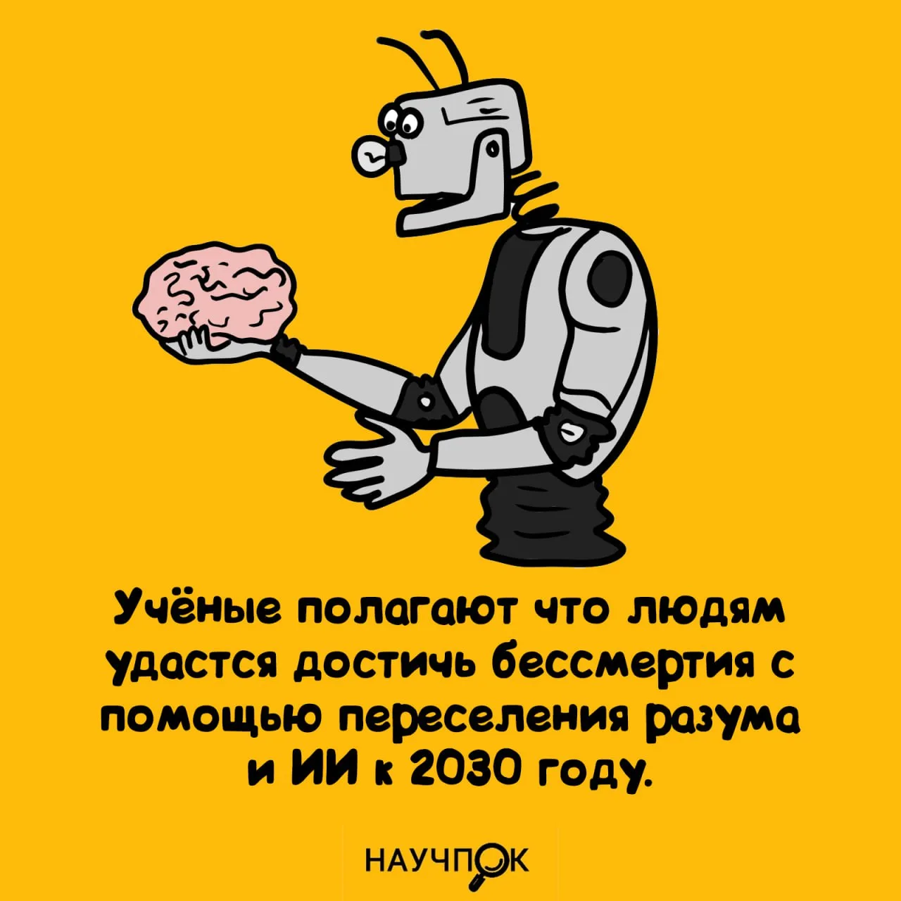 Научпок | Подписаться