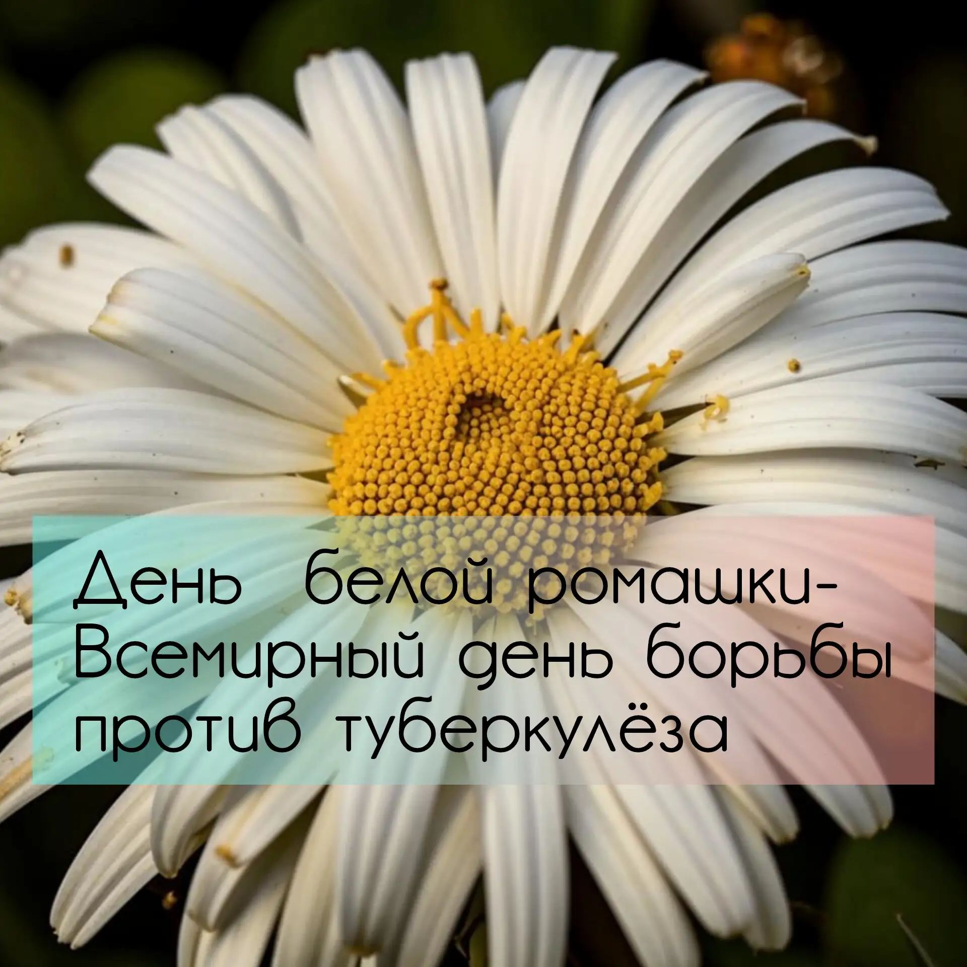 23-29 марта – неделя профилактики инфекционных заболеваний