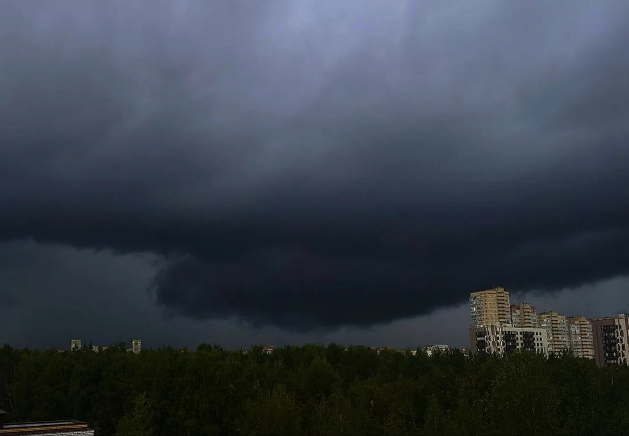 ⛈️ На следующей неделе в Ульяновской области ожидается прохладная и мокрая погода.