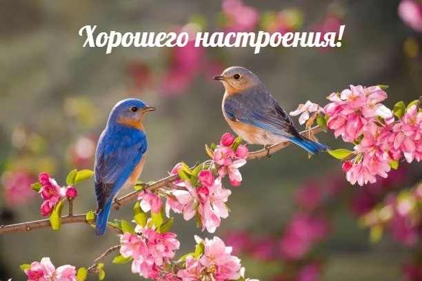✨ #настроение

Красивые открытки 💌
⠀в Max | в Теlegram