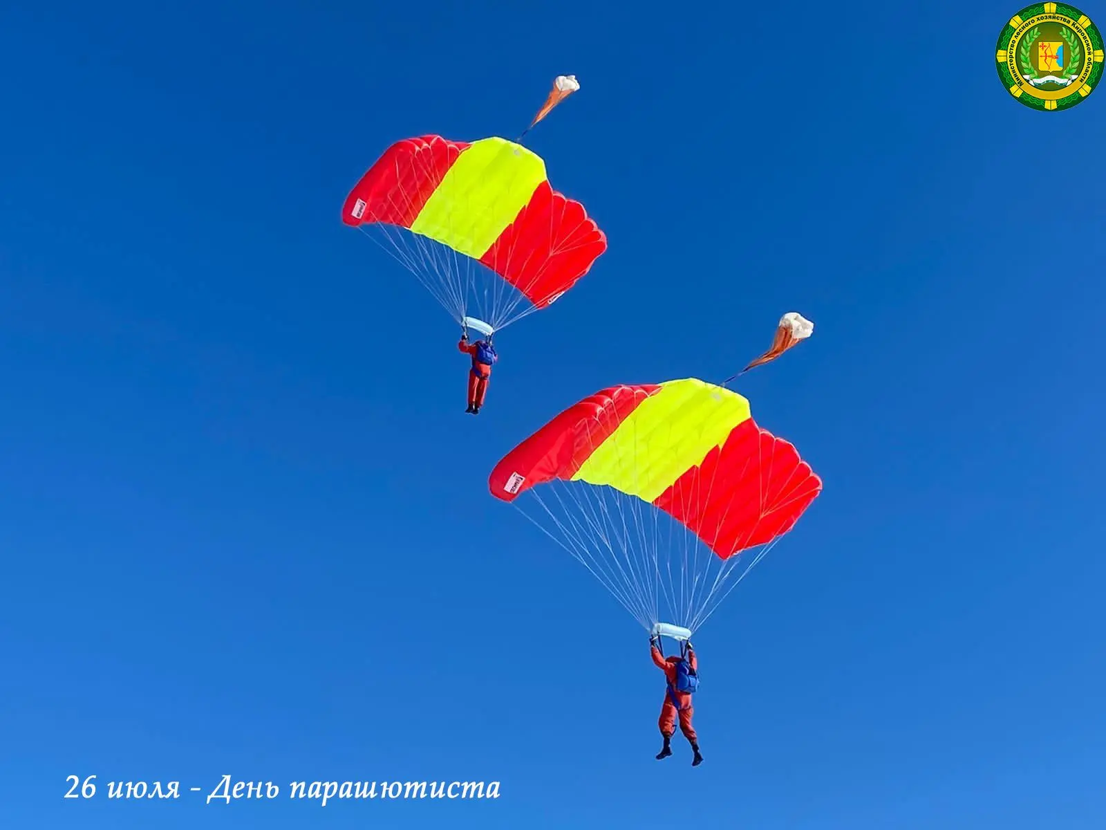 ❗️С небес – на защиту лесов