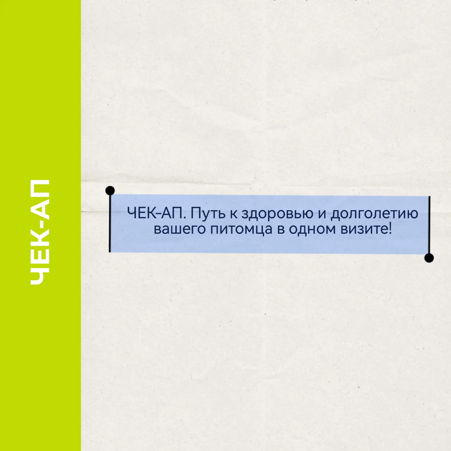 ЧЕК-АП. Путь к здоровью и долголетию вашего питомца — в одном визите!