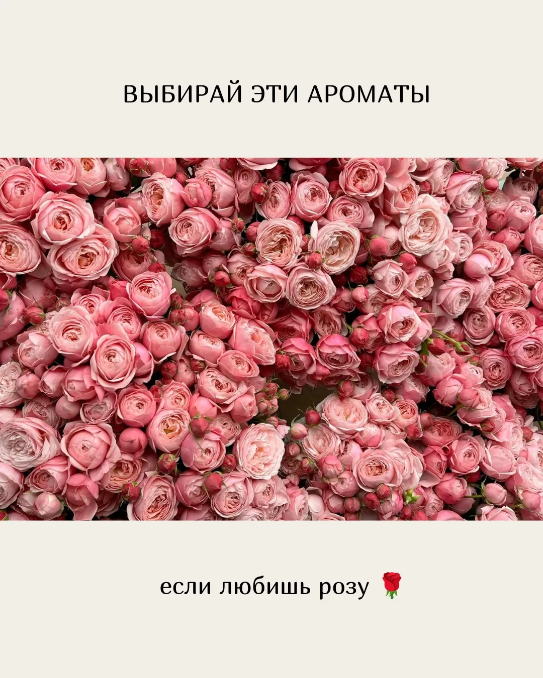 Сладкая, дерзкая, нежная, пьянящая — роза бывает разной. И каждая из этих композиций — ...