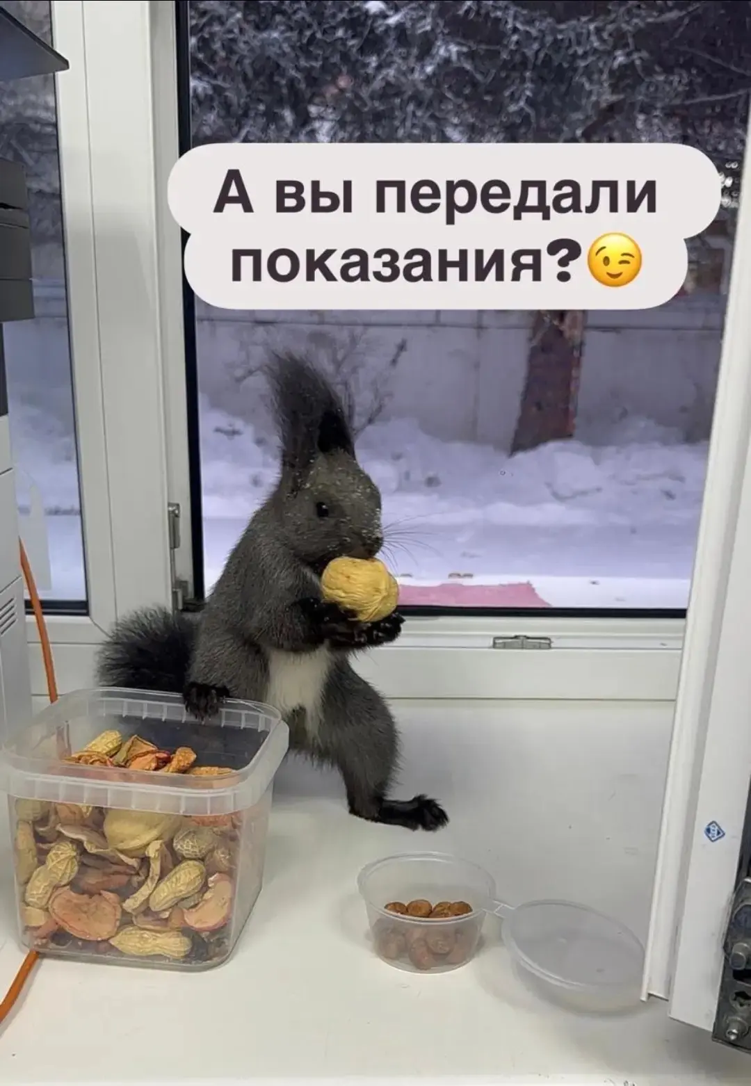 Напоминаем, что передать показания можно с 20-25 число:
