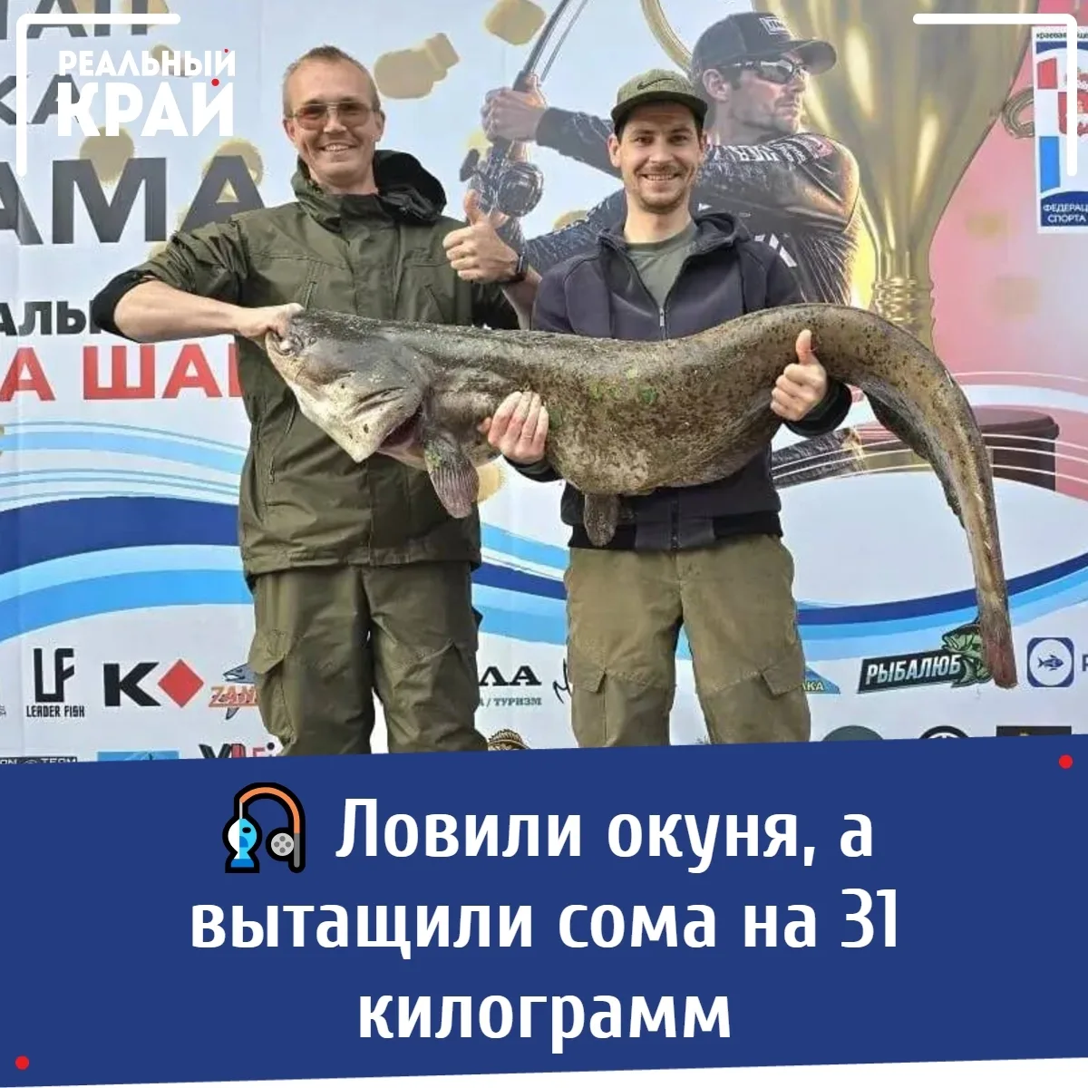 🎣 Ловили окуня, а вытащили сома на 31 килограмм