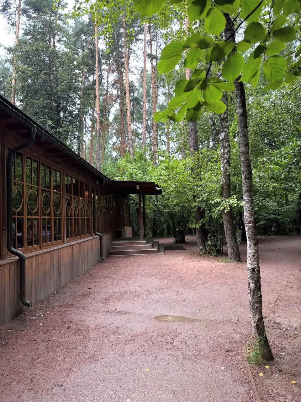 😍 Эстетика прогулок в Мещерском парке — пляжная зона, велодорожки и тишина в тени деревьев

Одно из