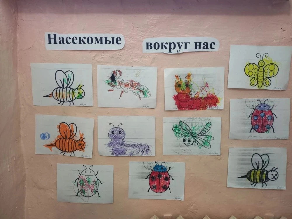 Знакомство с насекомыми".