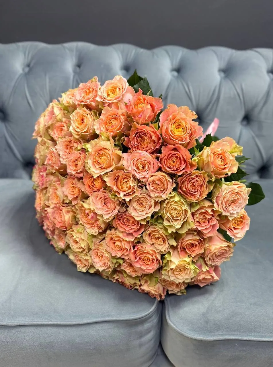 Кантри Спирит Луиза 🧡
73 шт