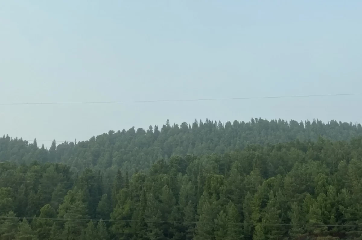 Смог добрался до городов. В Югре горит 9,3 тыс. га тайги