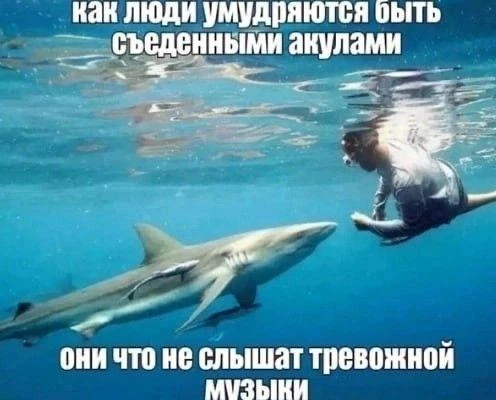 В Уфе вновь пройдет международный заплыв X-Waters