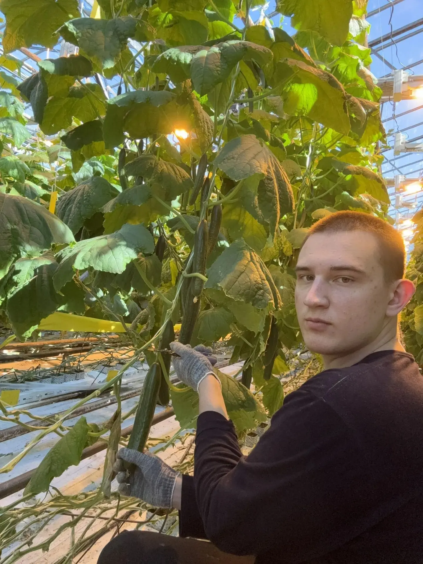 Наши студенты продолжают делиться с нами своими эмоциями от практики   Студент 2 курса Агроколледжа 
