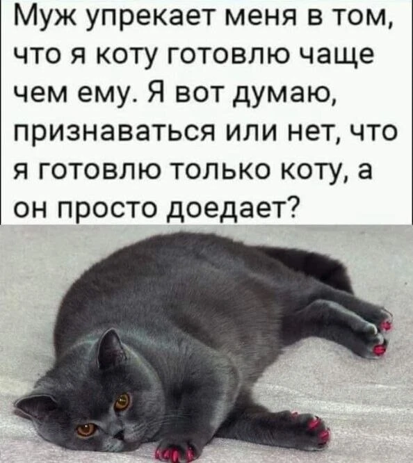 Наш канал ЛУЧИК РАДОСТИ ✨
