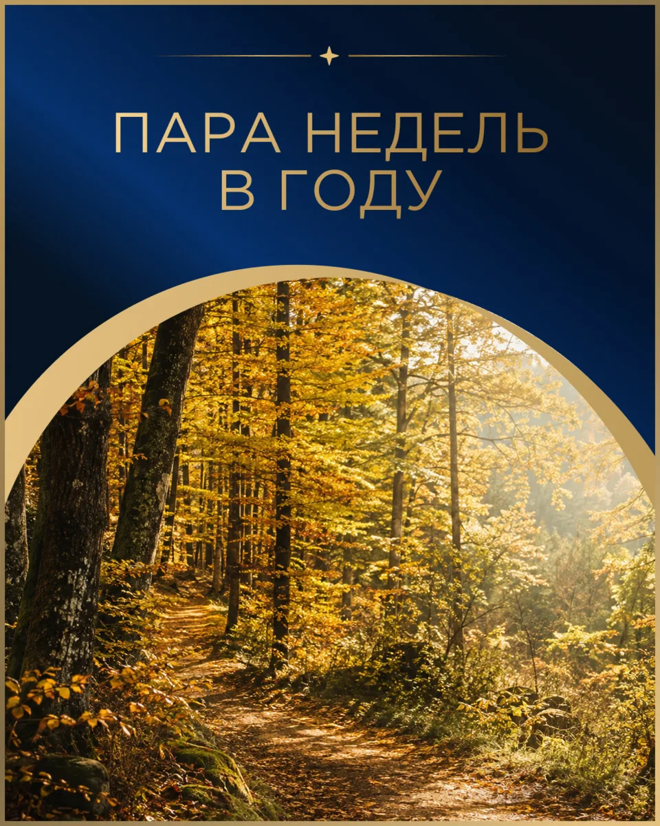 Есть короткое окно в году, которое легко пропустить, - бабье лето.