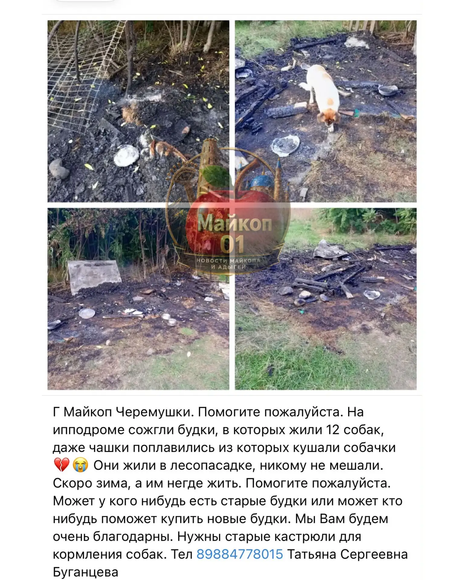 Подписаться ✅ - http://MAX.ru/maykop_01