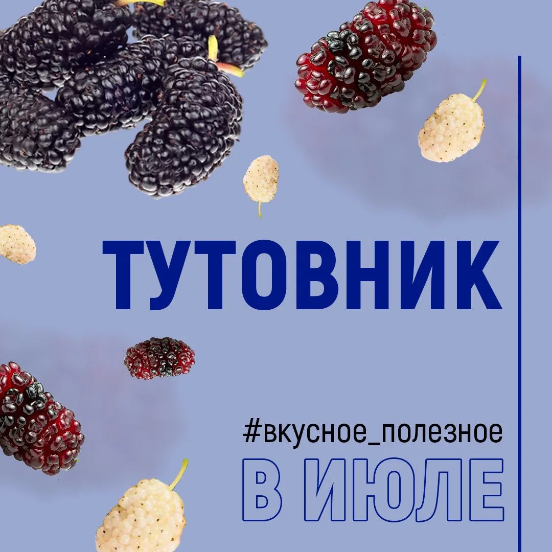 В чём польза тутовника?