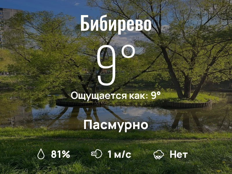 Что с погодой в Бибирево?