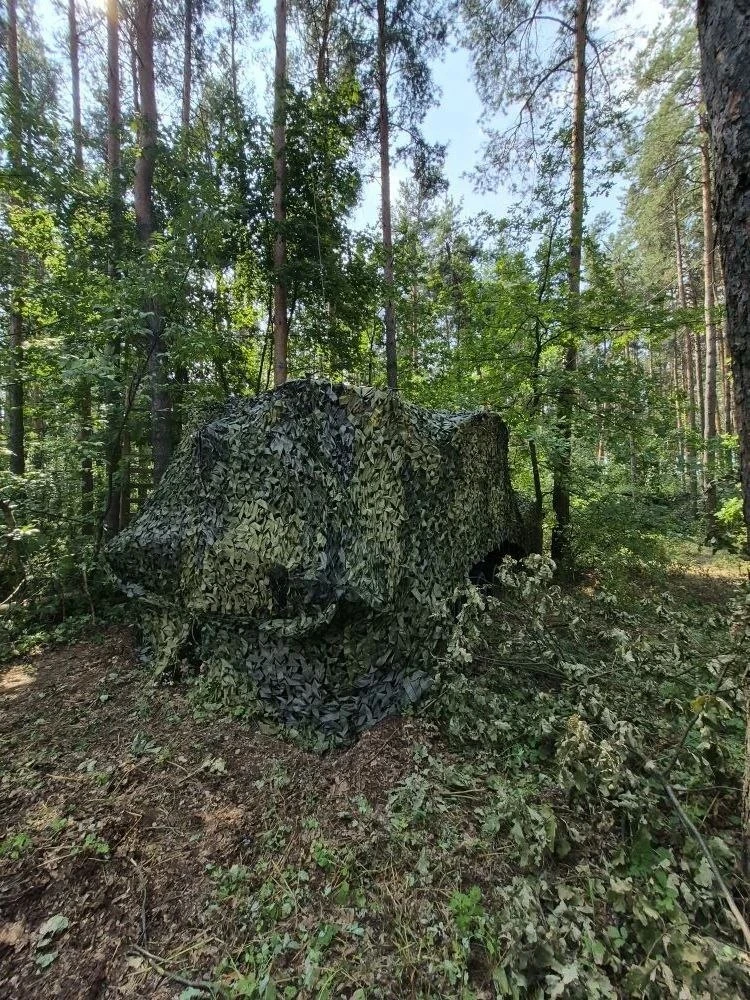 Красивое прислали)