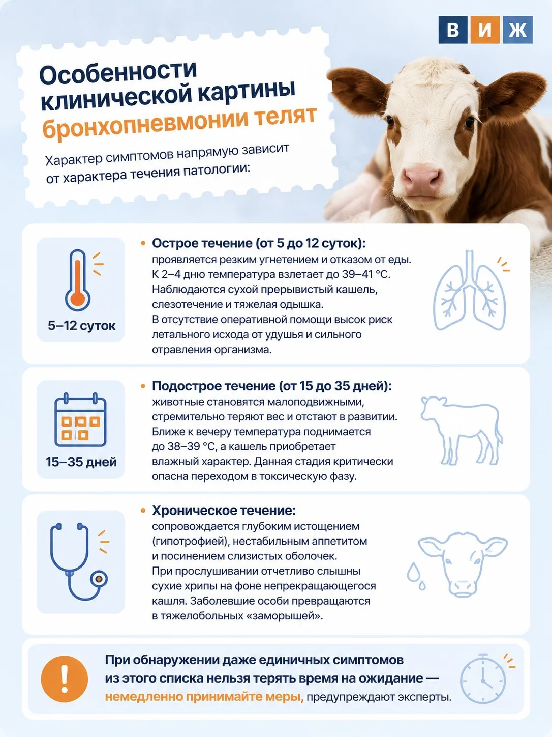 🐮Бронхопневмония телят: признаки заболевания и методы лечения

Специалисты Управления ветеринарии Н