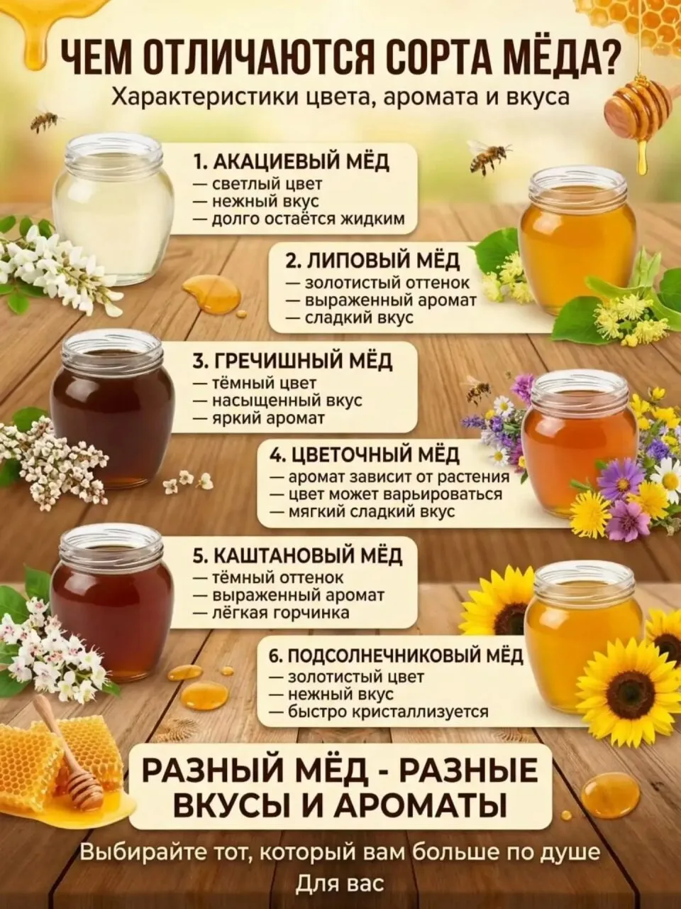 🍯  Мёд бывает очень разным — и дело не только в цвете. Вкус, аромат и даже скорость кр...