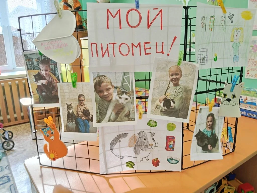 В подготовительной группе № 10 «Василёк» был реализован краткосрочный проект «Мой питом...